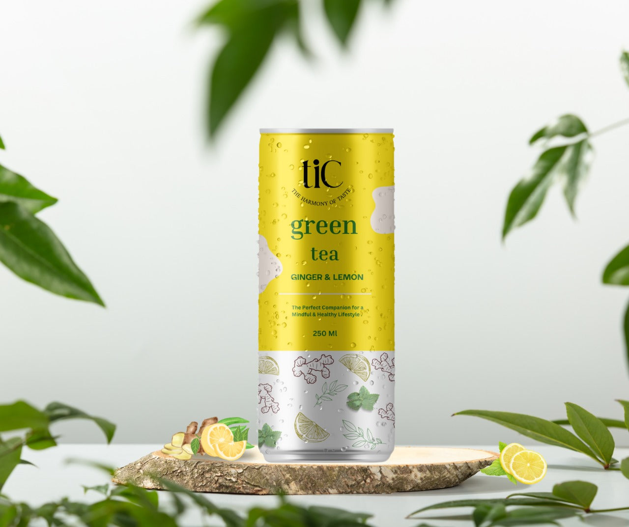 TIC Ginger Lemon Iced Green Tea  | 250ml Pack of 24